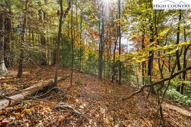 a view of outdoor space and garden