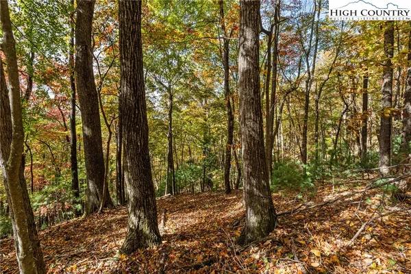 $69,900 | Tbd - Lot 24 Tbd - Road, Deep Gap, NC 28618