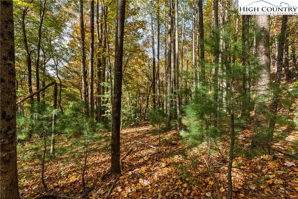 $69,900 | Tbd - Lot 24 Tbd - Road, Deep Gap, NC 28618