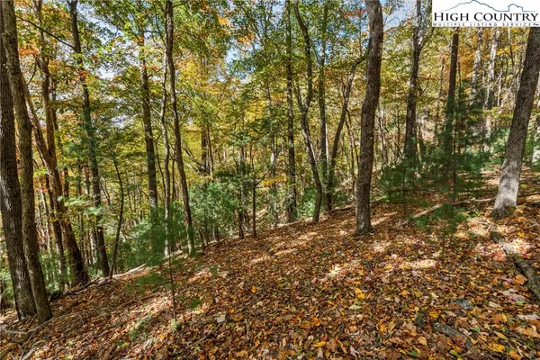 $69,900 | Tbd - Lot 24 Tbd - Road, Deep Gap, NC 28618