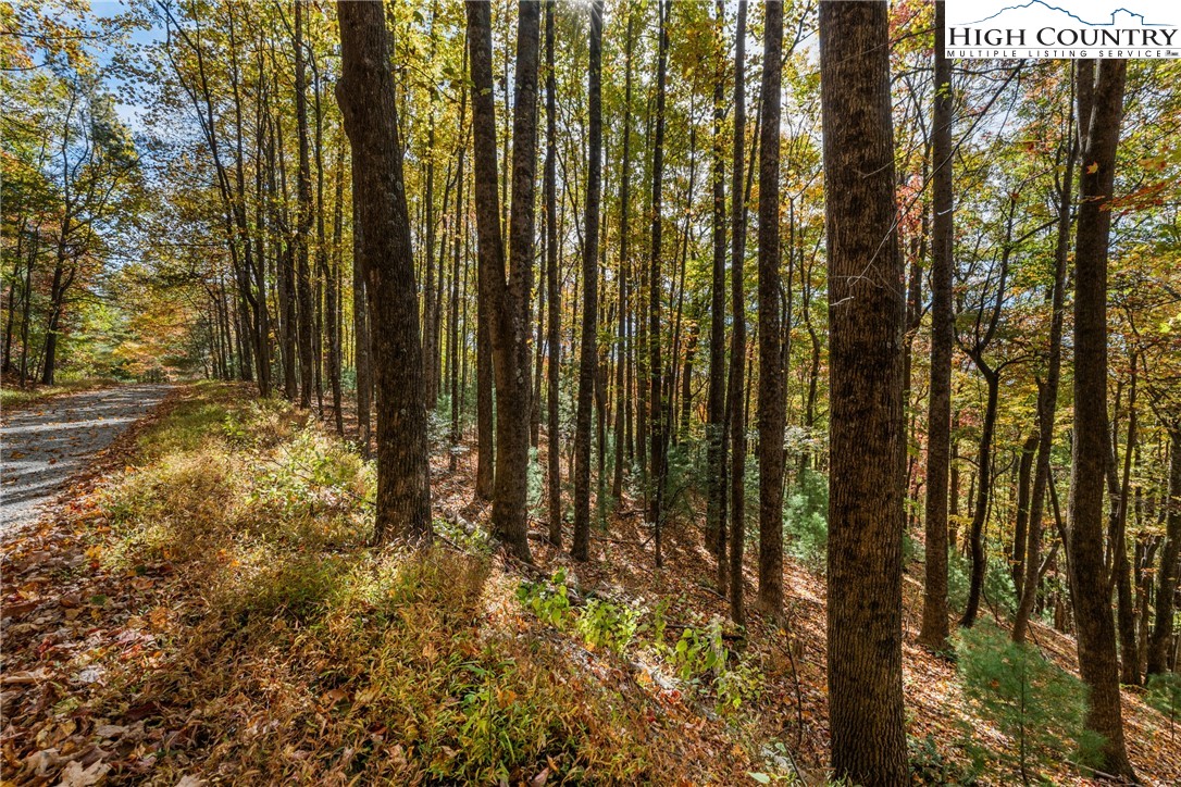 Tbd - Lot 24 Tbd - Road Deep Gap, NC 28618 - Photo 17 of 22 a view of outdoor space and garden