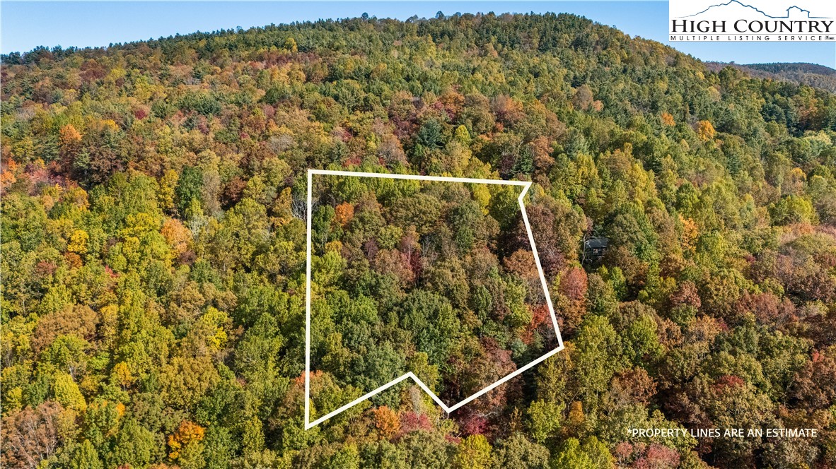 Tbd - Lot 24 Tbd - Road Deep Gap, NC 28618 - Photo 18 of 22