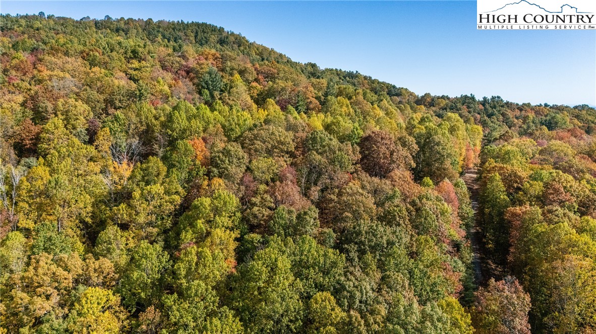 Tbd - Lot 24 Tbd - Road Deep Gap, NC 28618 - Photo 18 of 20 a view of a field