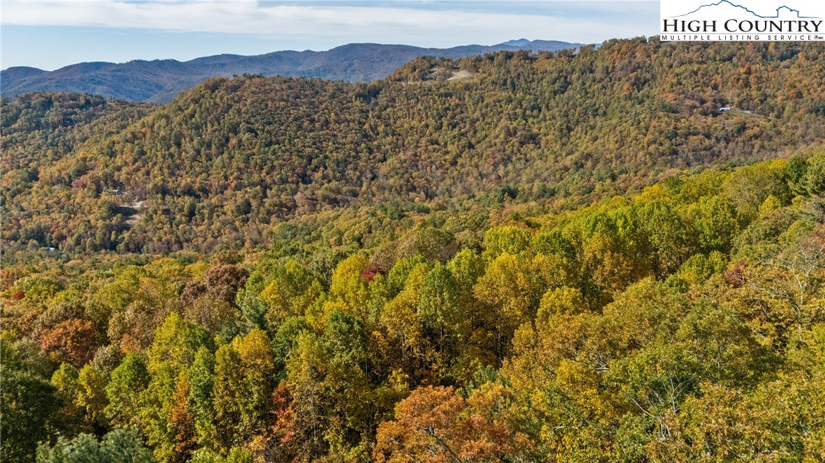 Tbd - Lot 24 Tbd - Road Deep Gap, NC 28618 - Photo 19 of 22 a view of a large tree with a mountain in the background