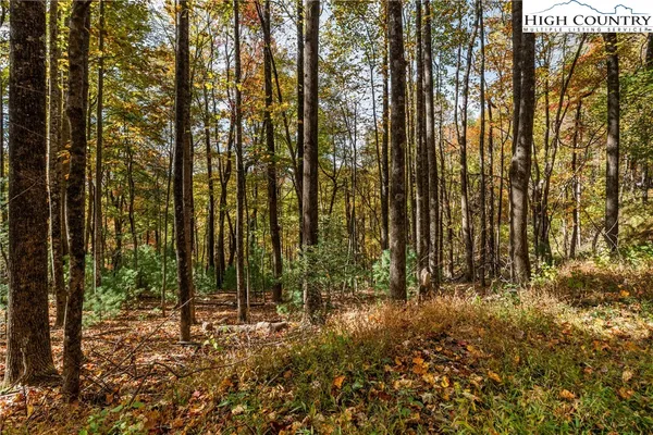 $69,900 | Tbd - Lot 24 Tbd - Road, Deep Gap, NC 28618