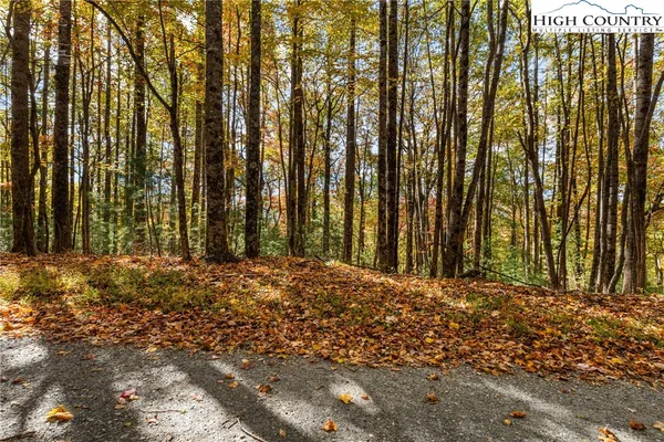 $69,900 | Tbd - Lot 24 Tbd - Road, Deep Gap, NC 28618