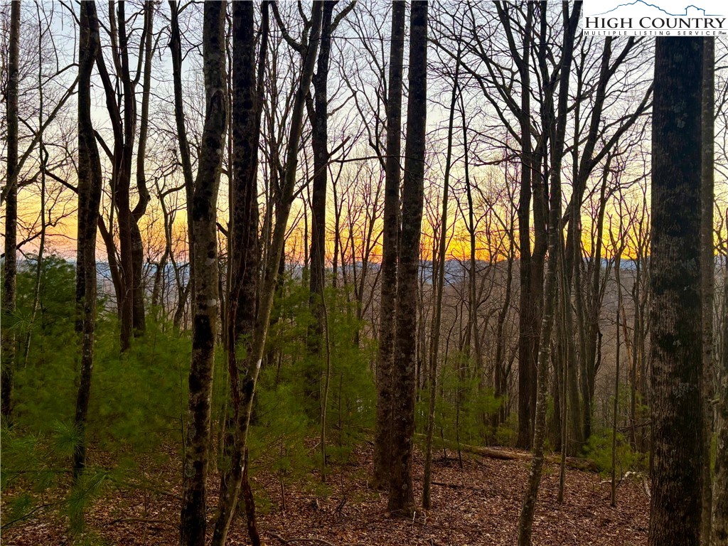 Tbd - Lot 24 Tbd - Road Deep Gap, NC 28618 - Photo 5 of 22 a view of outdoor space and yard