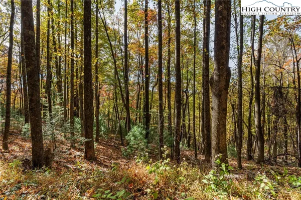 $69,900 | Tbd - Lot 24 Tbd - Road, Deep Gap, NC 28618