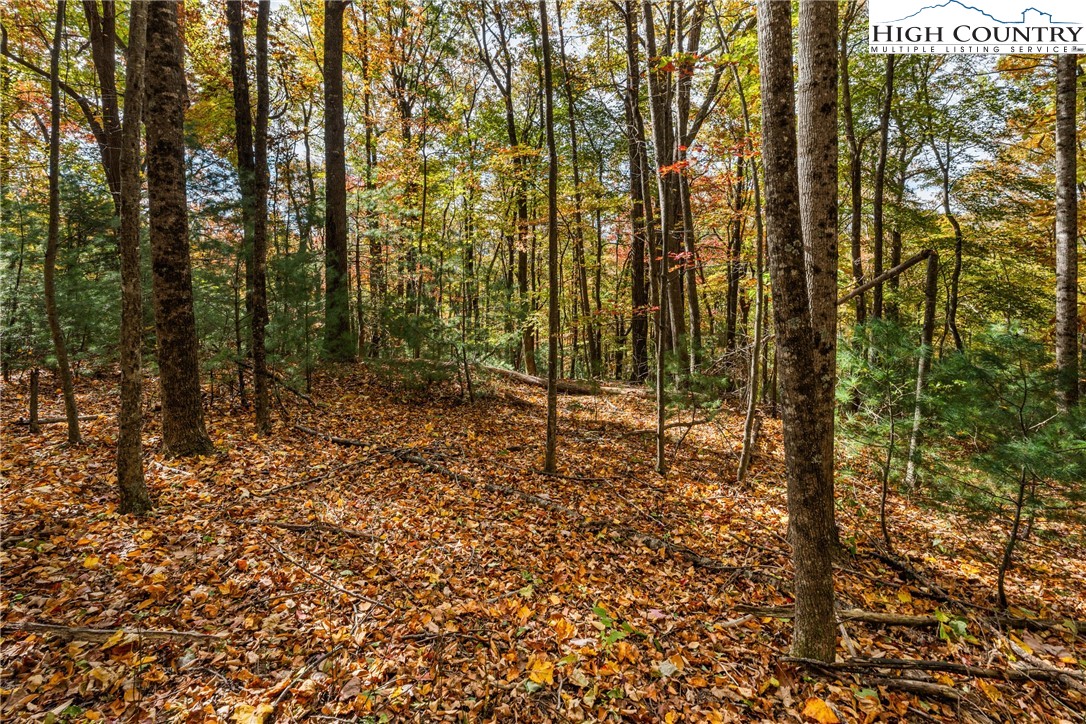 Tbd - Lot 24 Tbd - Road Deep Gap, NC 28618 - Photo 10 of 22