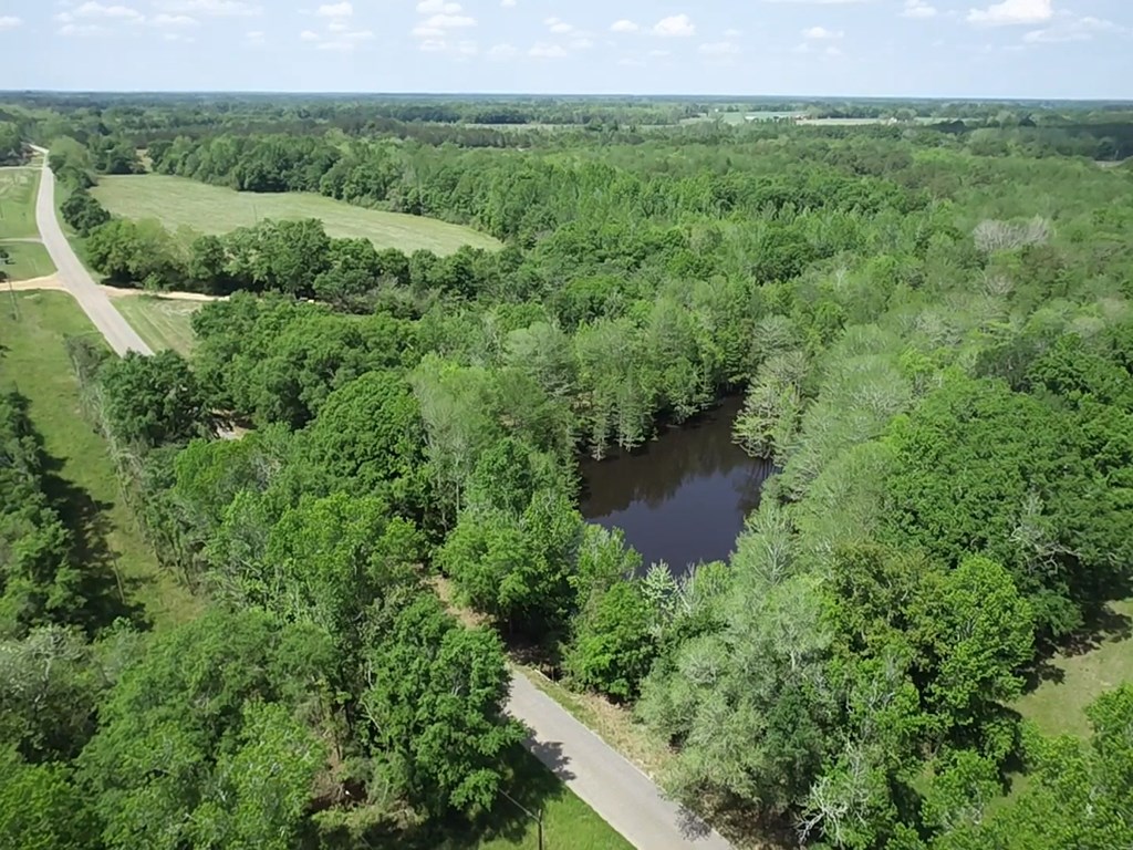 4.04 Cty Road Slocomb, AL 36375 - Photo 25 of 36
