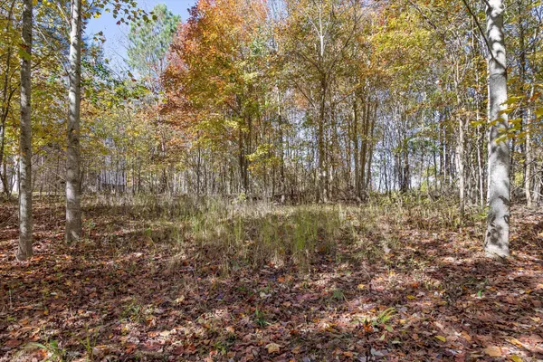 $115,000 | 0 Crockett Pointe, Unit 290, Jasper, TN 37347