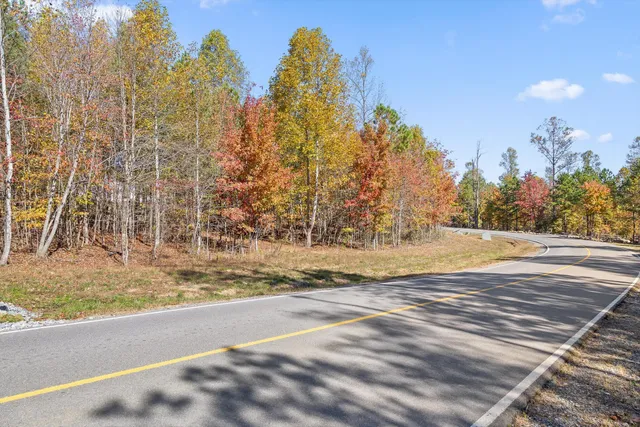 $115,000 | 0 Crockett Pointe, Unit 290, Jasper, TN 37347