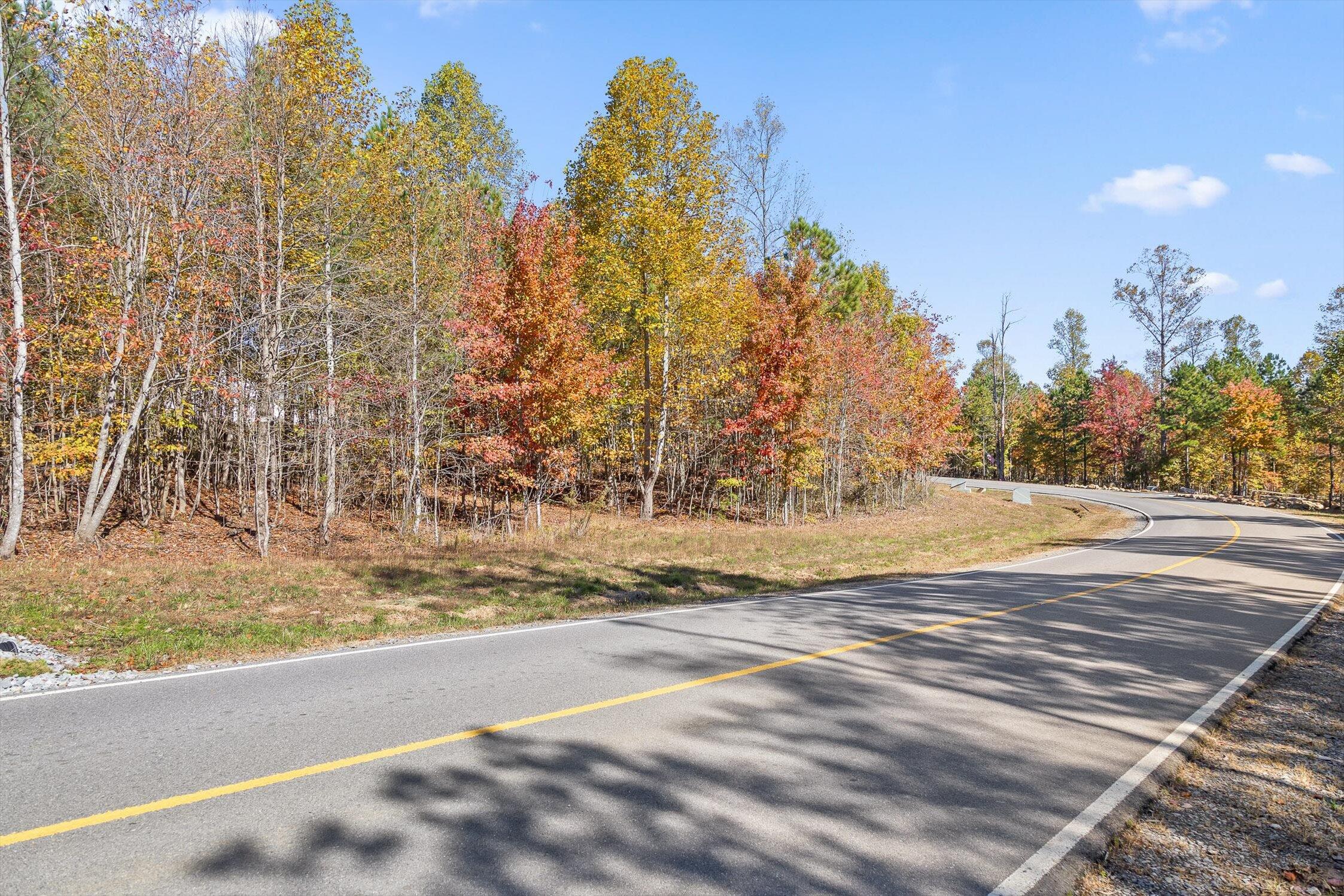 0 Crockett Pointe, Unit 290 Jasper, TN 37347 - Photo 5 of 8 04-Crockett Pointe-3
