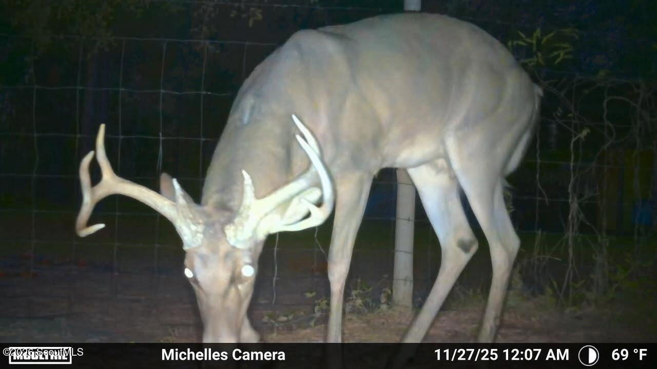 88 Minnesota Road Screven, GA 31560 - Photo 50 of 52