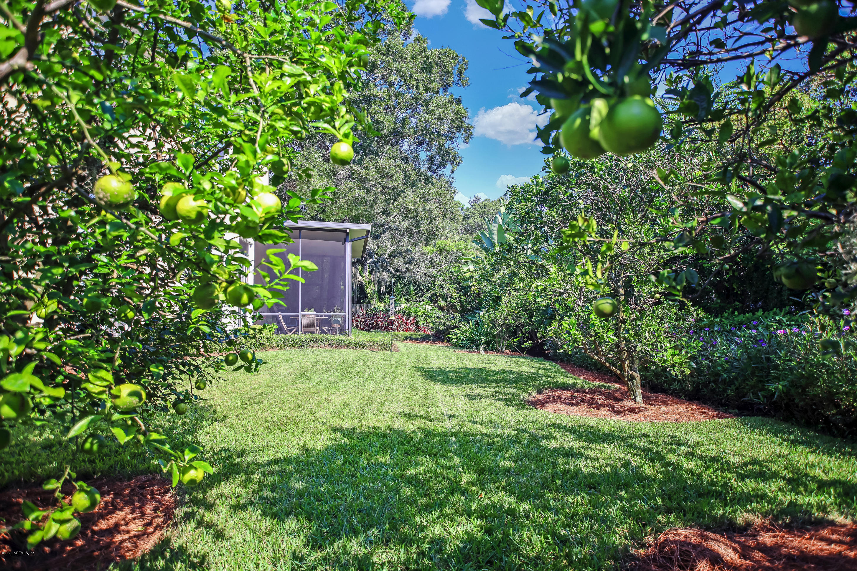 496 Big Tree Road Ponte Vedra Beach, FL 32082 - Photo 28 of 35 Lemon and lime trees