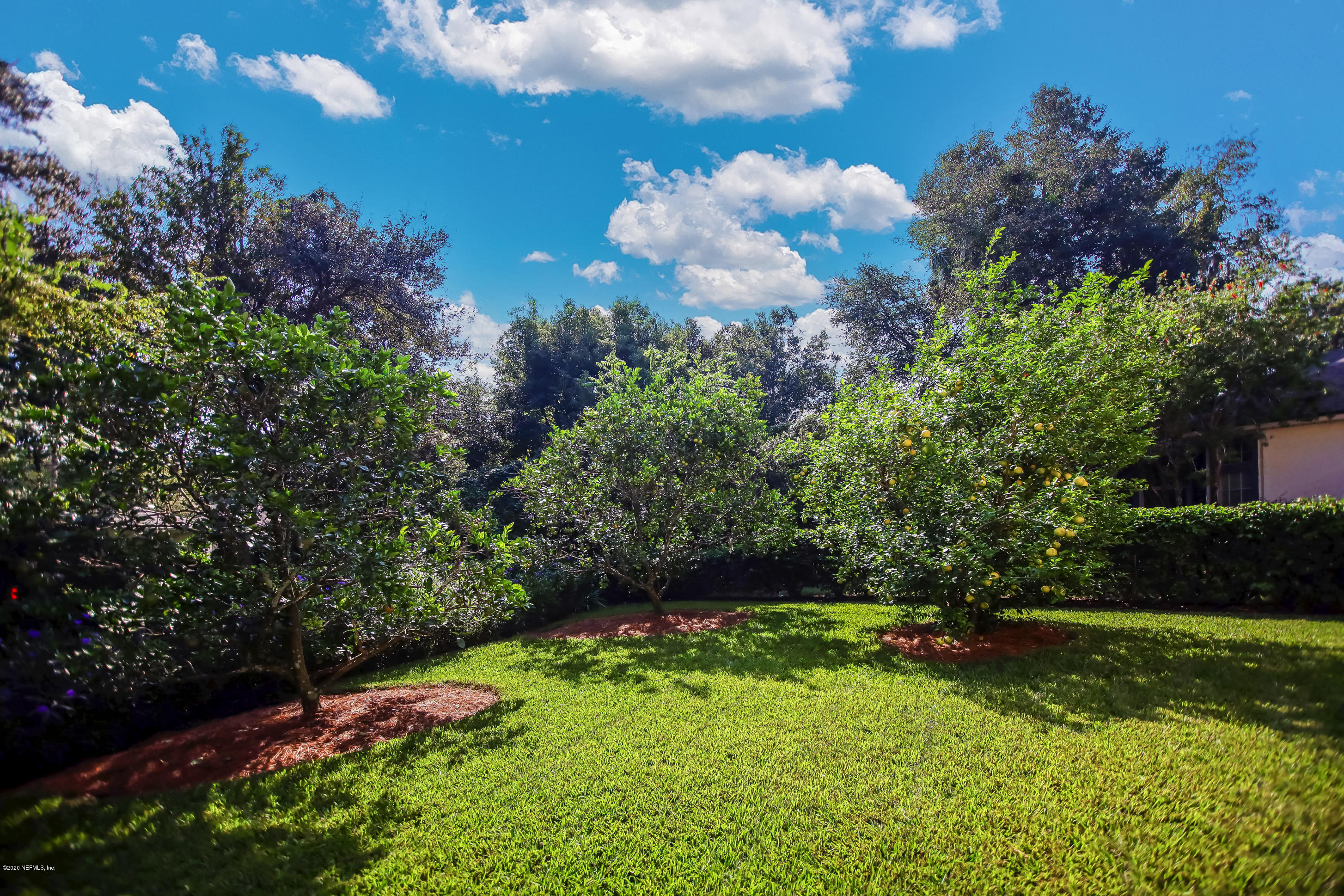 496 Big Tree Road Ponte Vedra Beach, FL 32082 - Photo 31 of 35 Private backyard