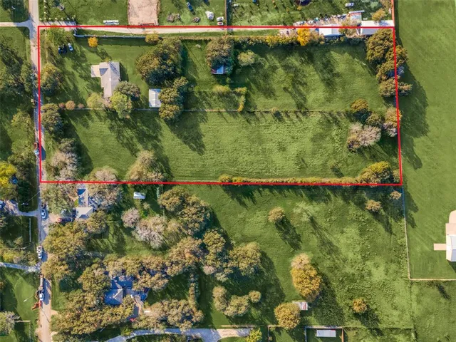 a view of a yard with plants