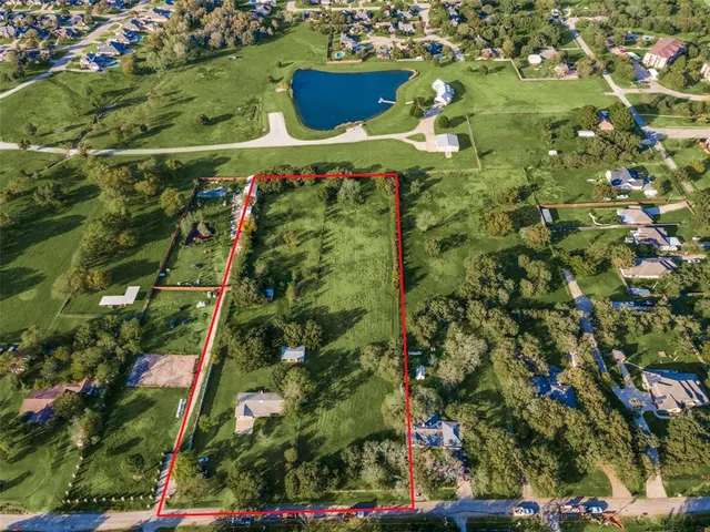 a view of a garden with plants