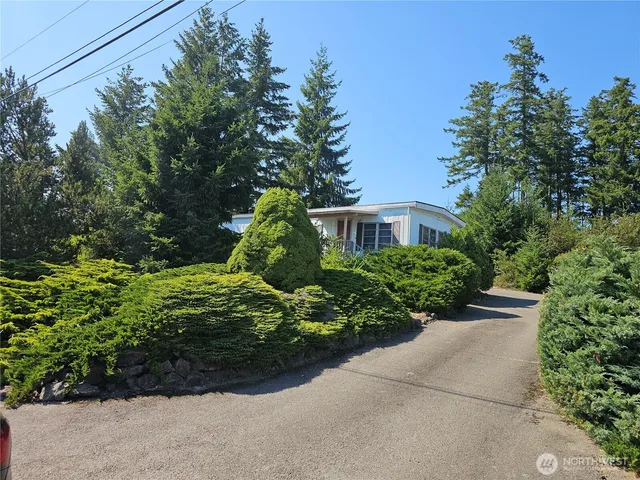 a view of a back yard with plants and trees