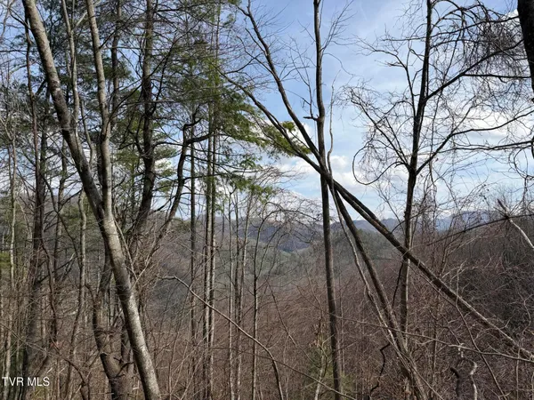 $250,000 | 421 US Highway 421, Mountain City, TN 37683