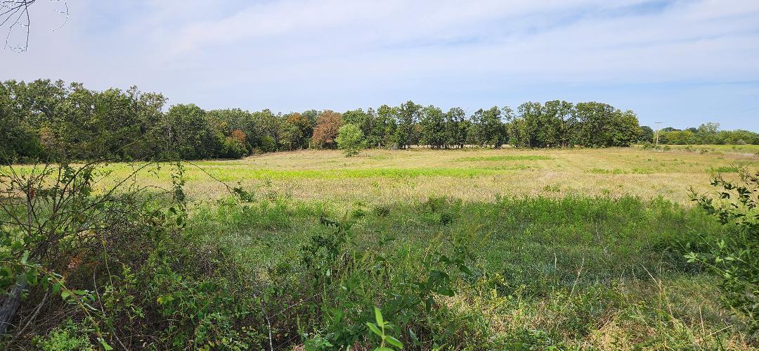 95 Three Springs Loop Long Lane, MO 65590 - Photo 8 of 14 field