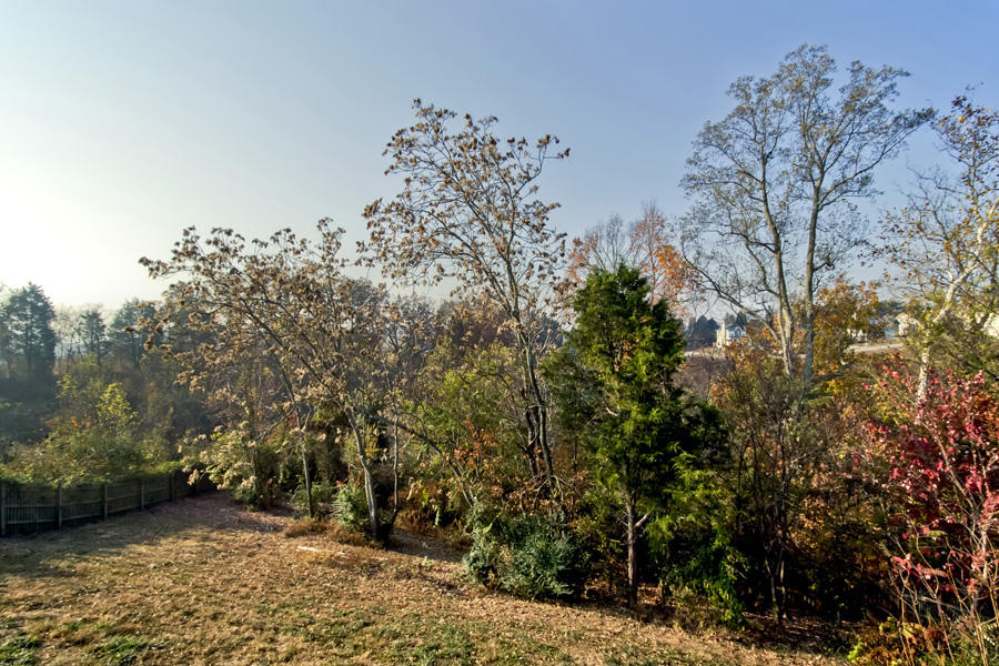 1821 Turning Point Road Powell, TN 37849 - Photo 33 of 34 33_TurningPointRoad_1821_DeckView
