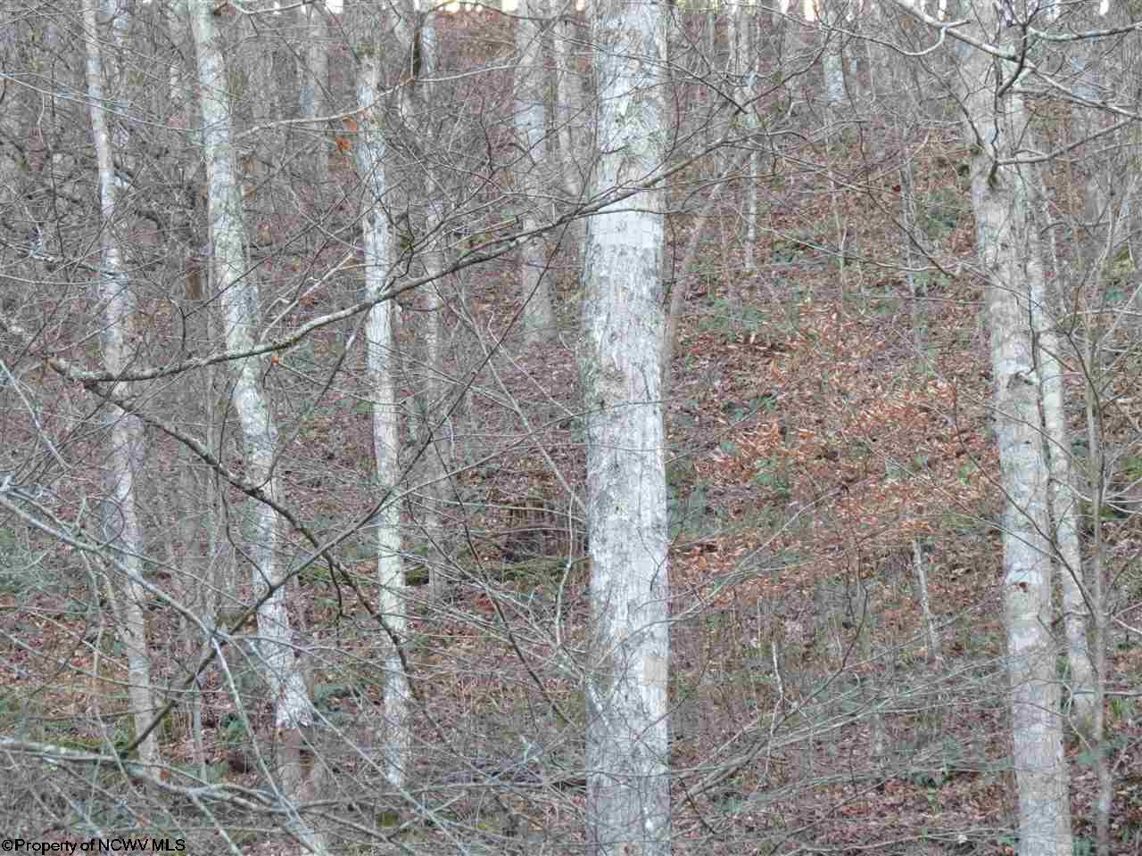 4023 Upper O'brien Road Frametown, WV 26623 - Photo 11 of 15 Gallery Image 11