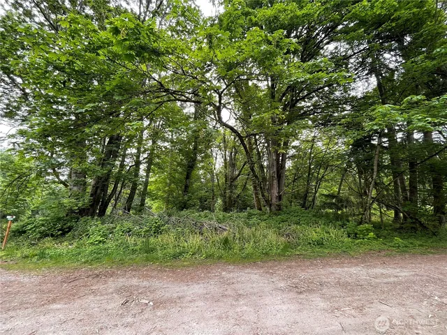 a view of a yard with a trees