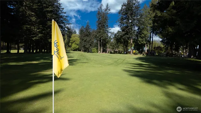 a view of a park with large trees