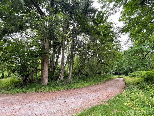 a view of a yard with a trees