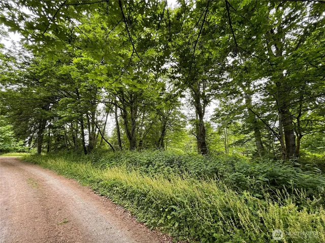 a big yard with lots of green space and plants