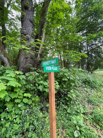 a street sign on a tree in the middle of a park