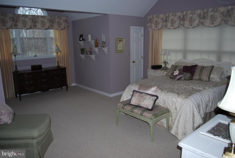 2340 Ridge Tree Court Ellicott City, MD 21042 - Photo 8 of 28 Master Bedroom #3