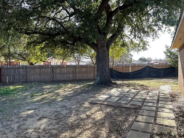 a view of a backyard with a large tree