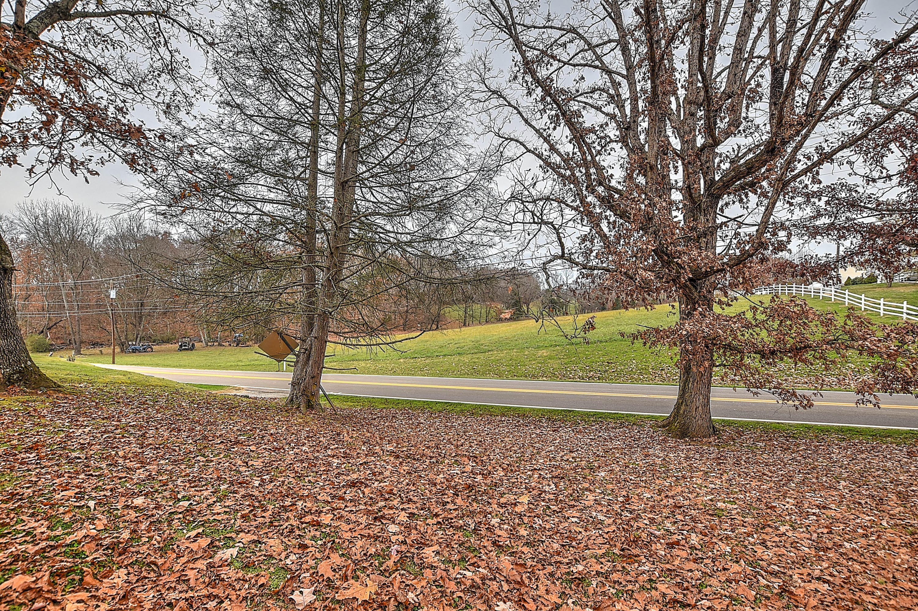6175 Warrensburg Road Mosheim, TN 37818 - Photo 15 of 20 15