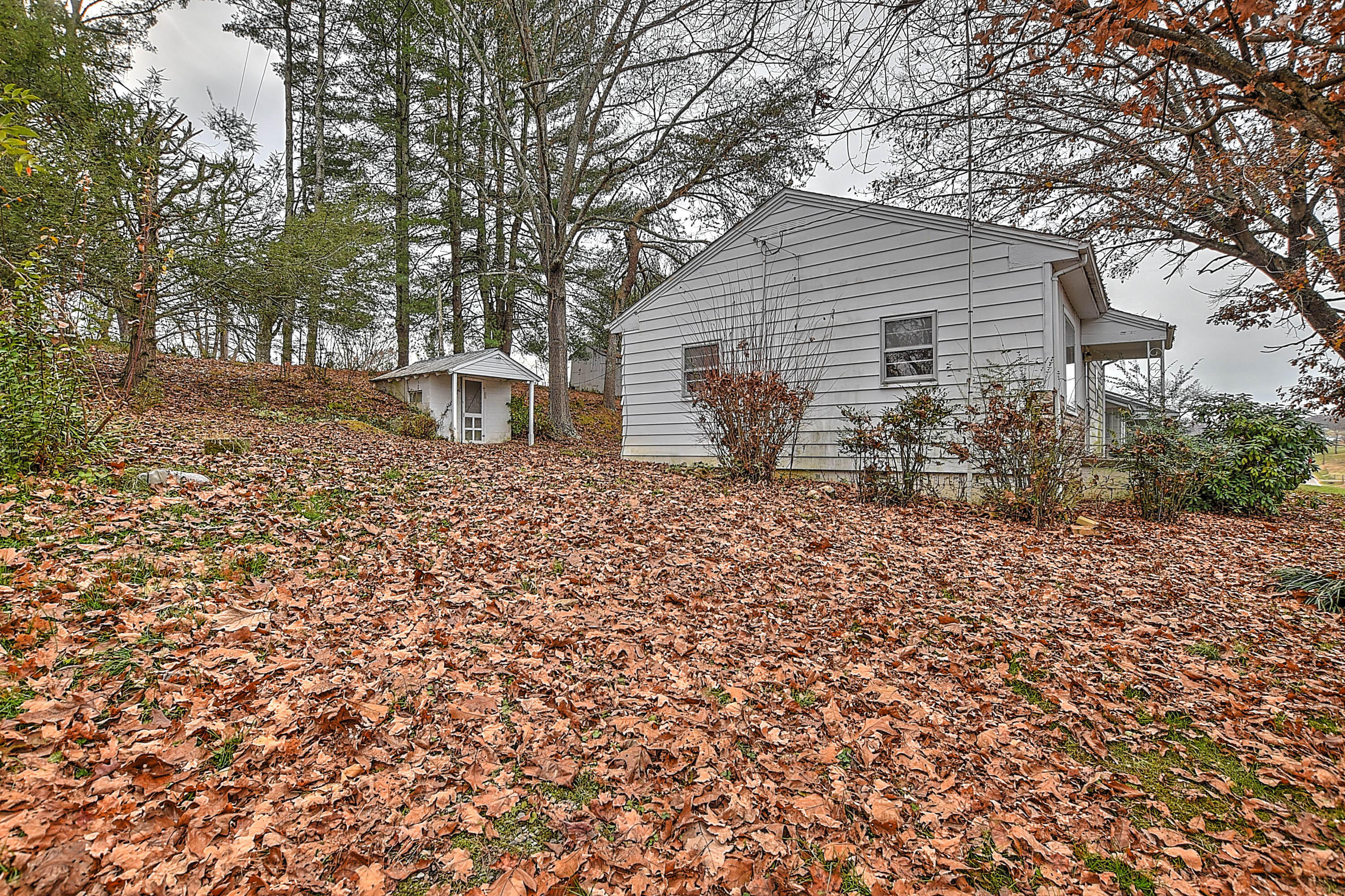 6175 Warrensburg Road Mosheim, TN 37818 - Photo 16 of 20 16