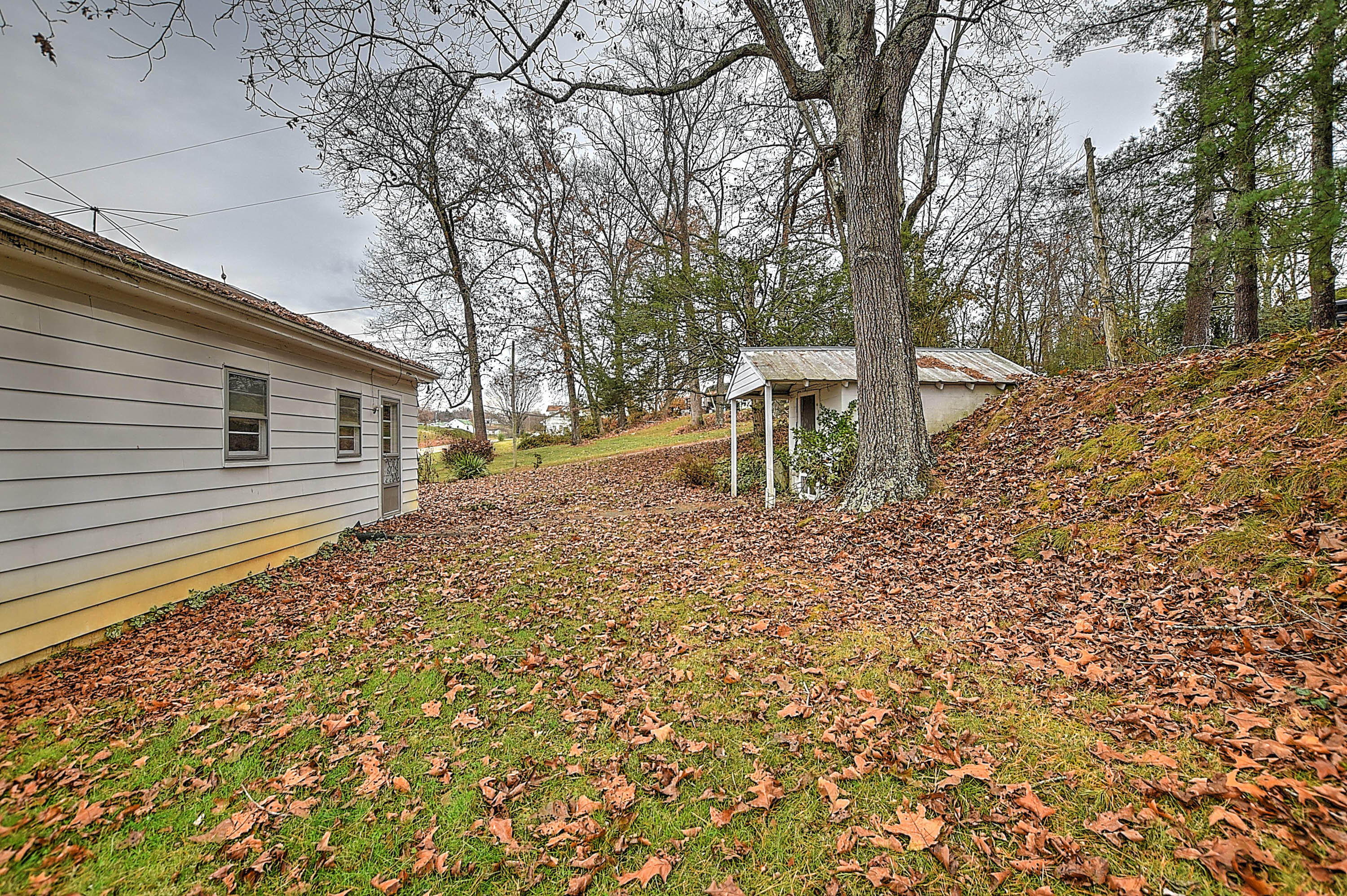 6175 Warrensburg Road Mosheim, TN 37818 - Photo 19 of 20 19