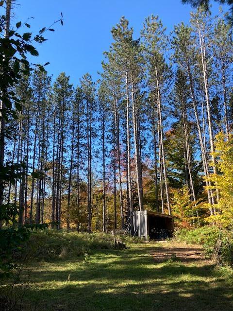 6867 North Coe Road Luther, MI 49656 - Photo 16 of 16 Pines