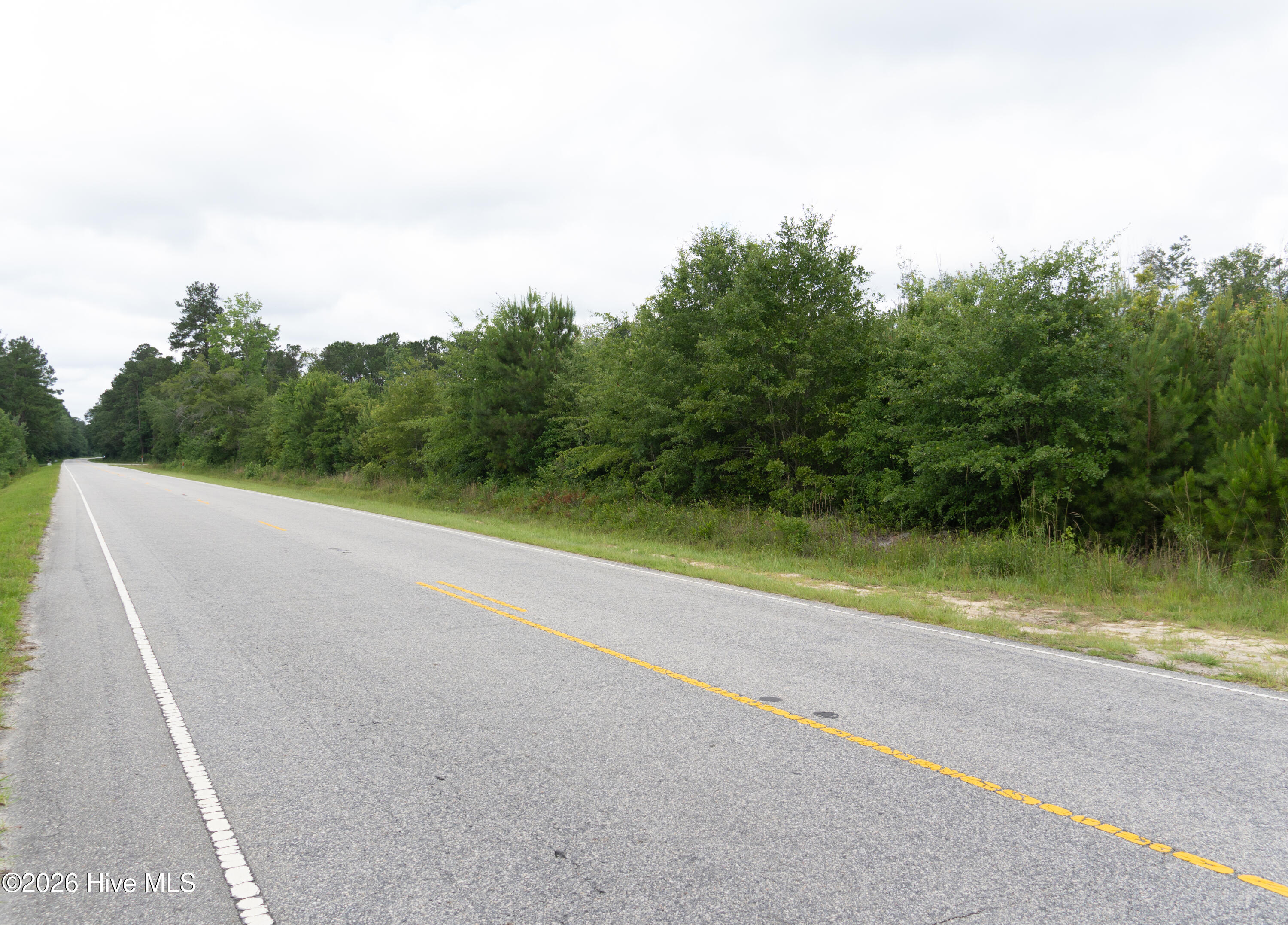0 General Howe Highway Riegelwood, NC 28456 - Photo 6 of 8