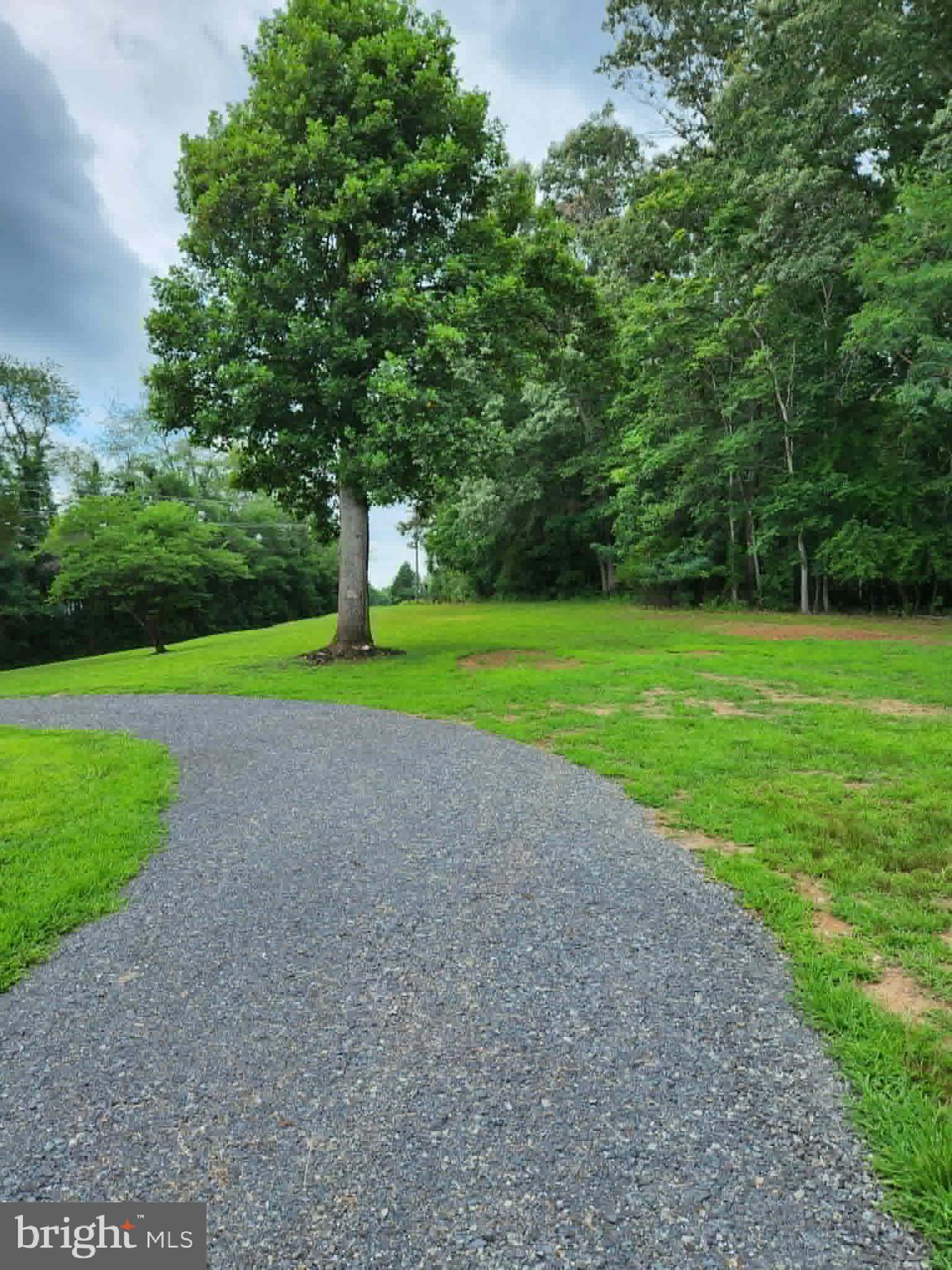 11501 Homeland Road Rixeyville, VA 22737 - Photo 12 of 53
