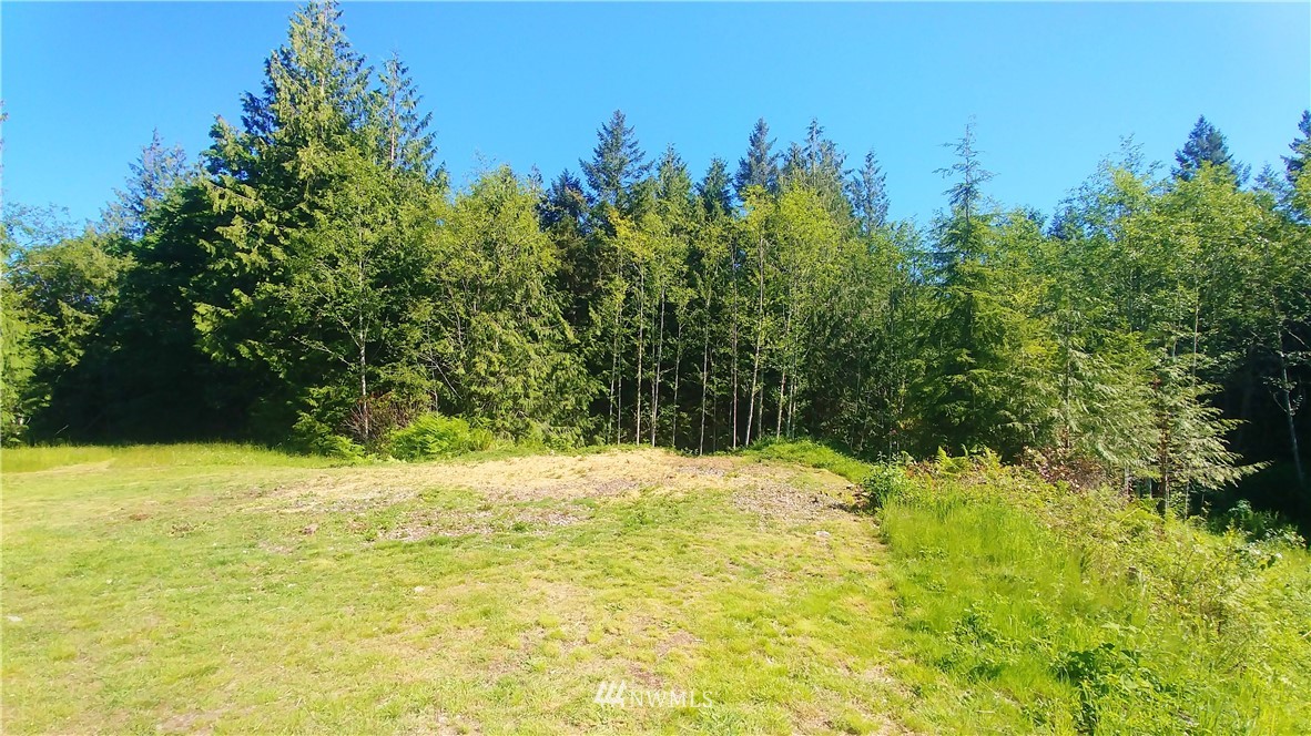 2862 Chicken Coop Road Sequim, WA 98382 - Photo 2 of 24 Gallery Image 2