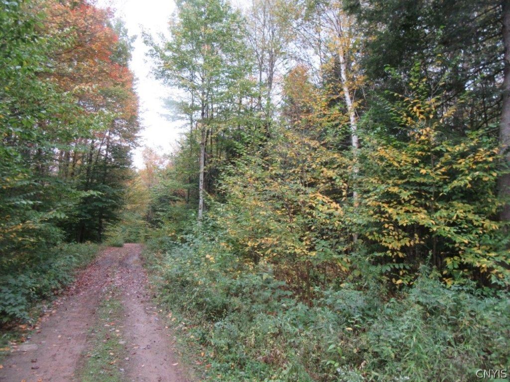 0 Florence Hill Road Oneida, NY 13421 - Photo 3 of 11 Gallery Image 3