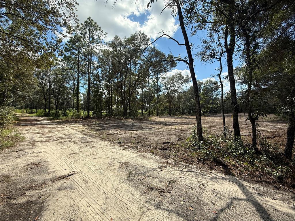 Tbd Northeast 72nd Place Bronson, FL 32621 - Photo 2 of 2