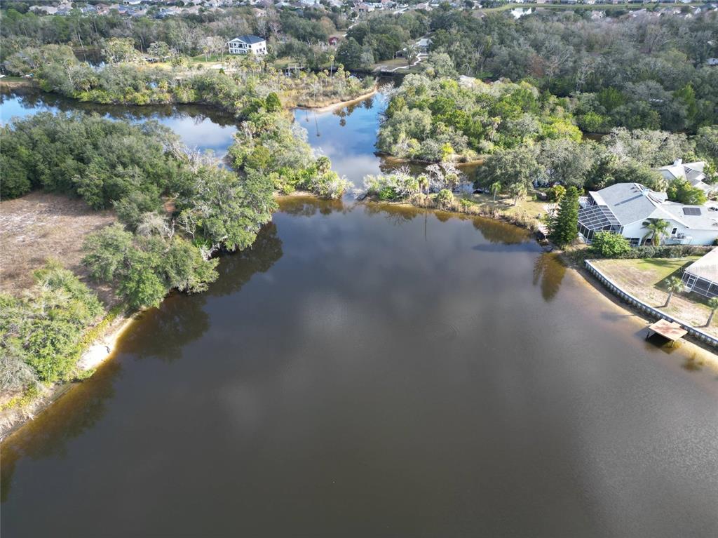 0 Berry Hill Road Holiday, FL 34690 - Photo 12 of 43