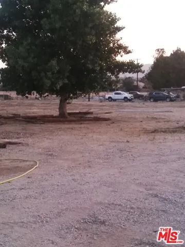 a view of dirt field with trees
