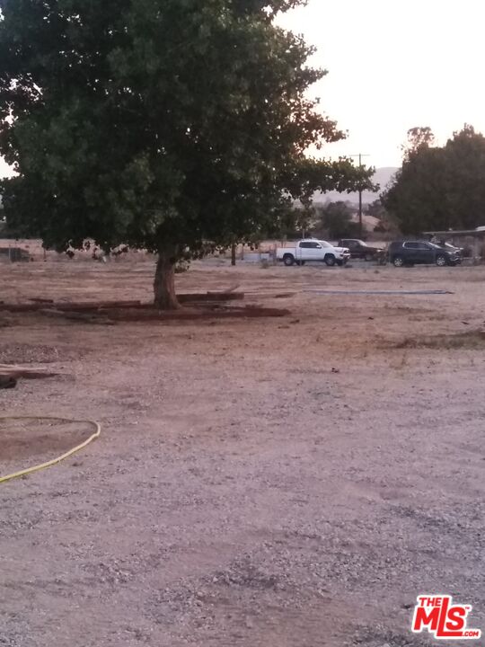 4908 Fort Tejon Road Palmdale, CA 93552 - Photo 9 of 21 a view of dirt field with trees