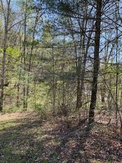 1041 South New Era Road Sevierville, TN 37876 - Photo 5 of 14 Gallery Image 5