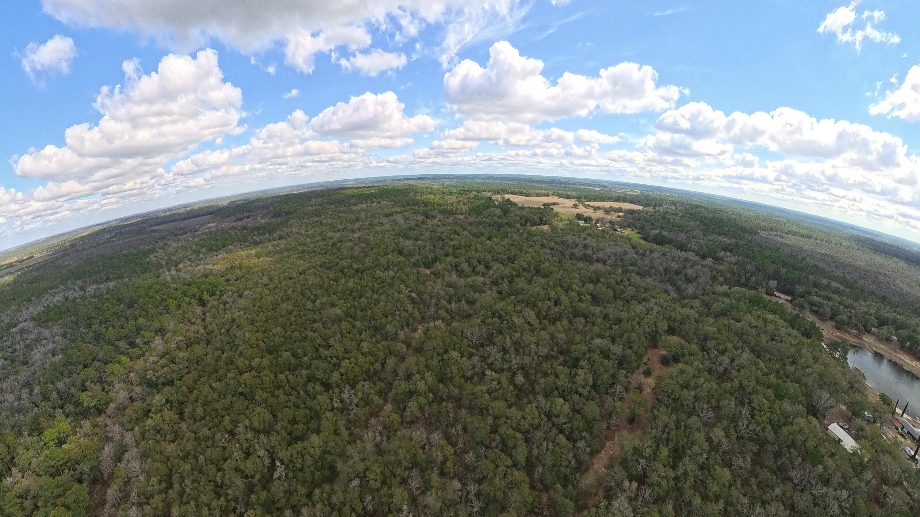 0 Fl-2 Defuniak Springs DeFuniak Springs, FL 32433 - Photo 3 of 5 a view of a yard