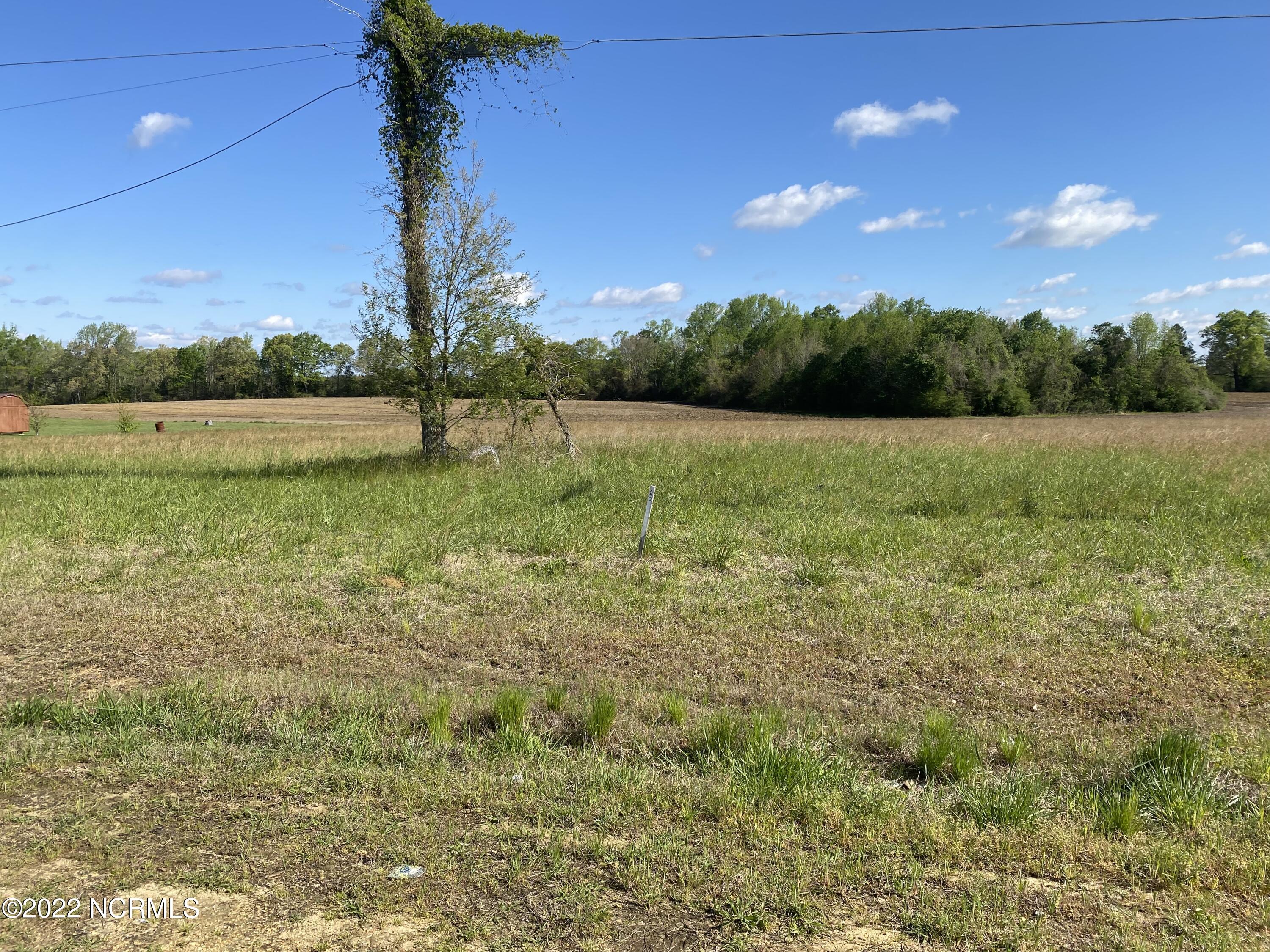 Lot 22 Shearin Road Whitakers, NC 27891 - Photo 1 of 1 Lot 22