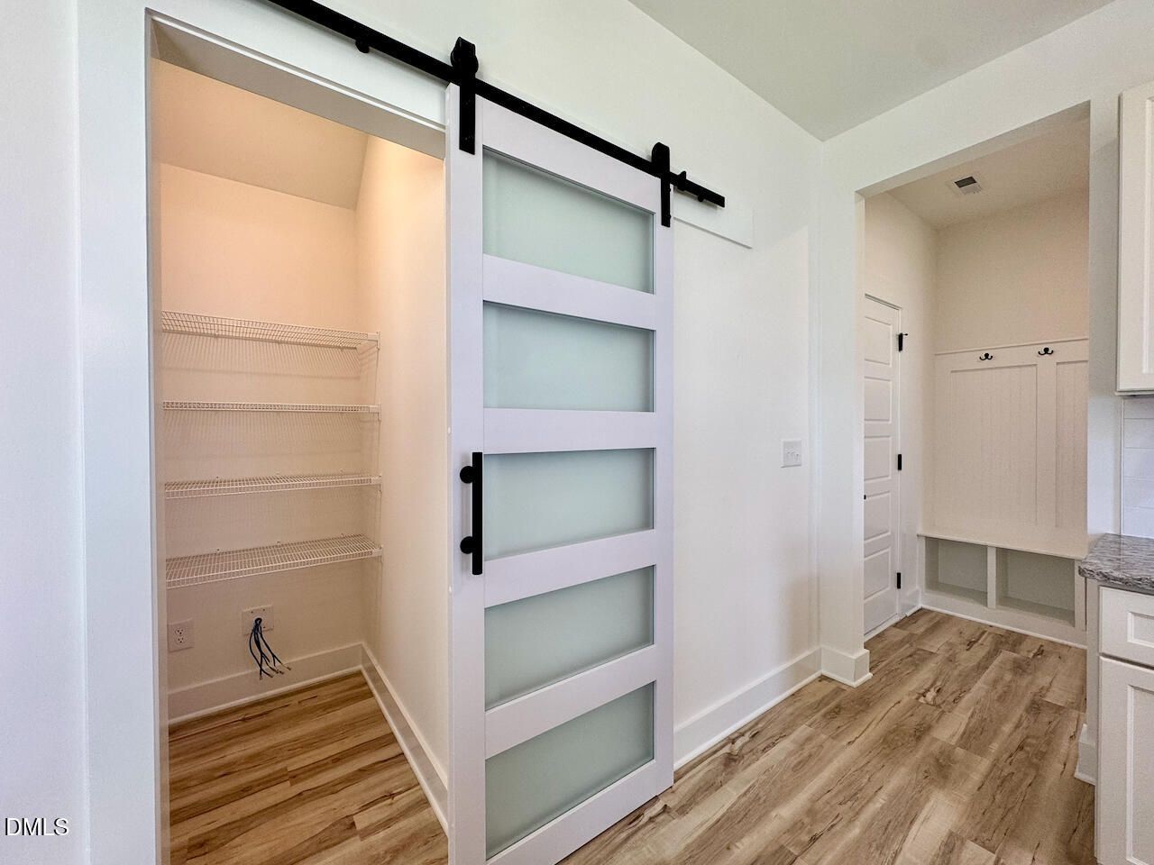 218 George Street Four Oaks, NC 27524 - Photo 11 of 33 Walk-In Pantry with Glass Barn Door